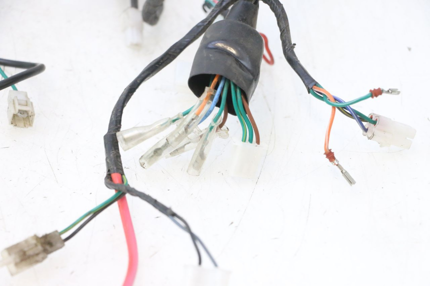 photo de WIRE HARNESS MASH DIRT TRACK 50 (2018 - 2020) - High-resolution close-up