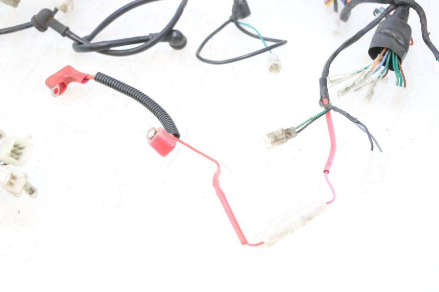 photo de WIRE HARNESS MASH DIRT TRACK 50 (2018 - 2020) - Supplementary product photo