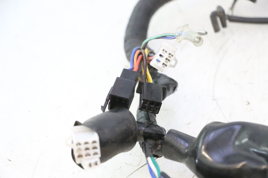 photo de WIRE HARNESS MASH DIRT TRACK 50 (2018 - 2020) - Focus on structure
