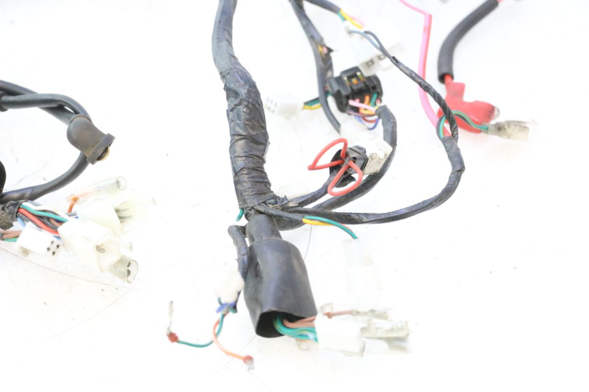 photo de WIRE HARNESS MASH DIRT TRACK 50 (2018 - 2020) - Zoom on usage condition