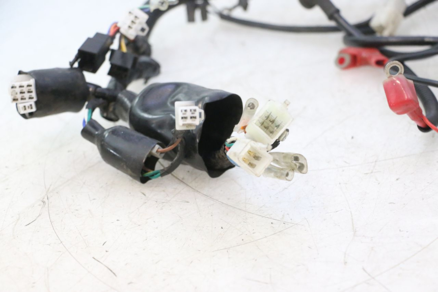 photo de WIRE HARNESS MASH DIRT TRACK 50 (2018 - 2020) - Surface and material condition