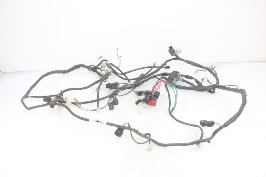 photo de WIRING HARNESS PEUGEOT DJANGO 4T 50 (2014 - 2019) - Fixing points details