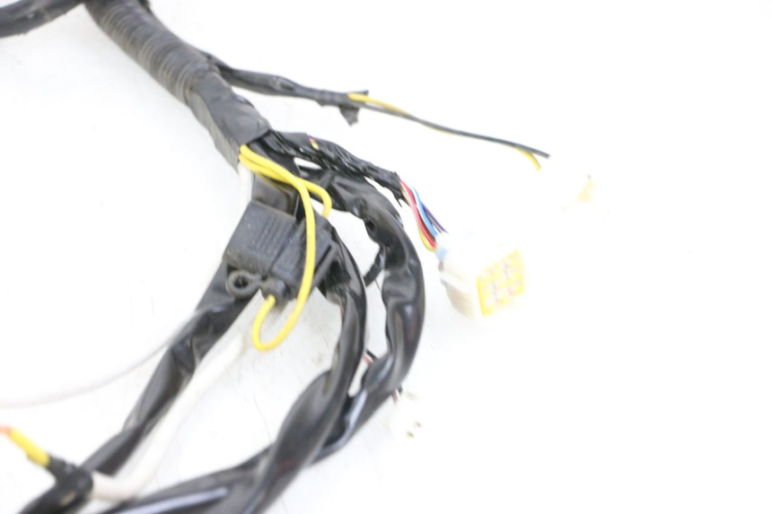 photo de WIRE HARNESS WAYSCRAL E-START 1 (2018 - 2022) - Additional view of the item