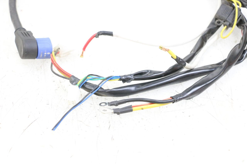 photo de WIRE HARNESS WAYSCRAL E-START 1 (2018 - 2022) - Distinctive features