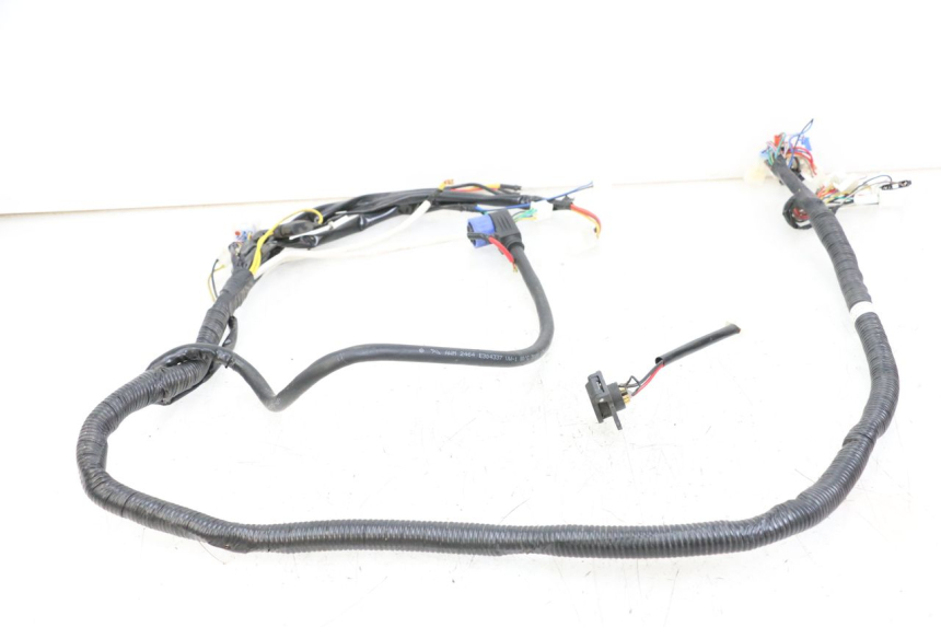 photo de WIRE HARNESS WAYSCRAL E-START 1 (2018 - 2022) - Fixing points details