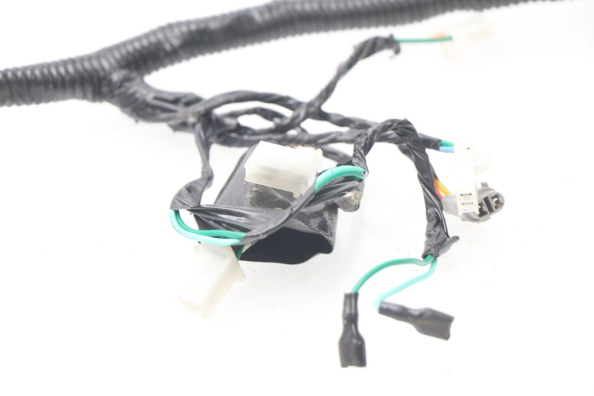 photo de WIRE HARNESS RIDE E1 1 (2014 - 2022) - Zoom on usage condition