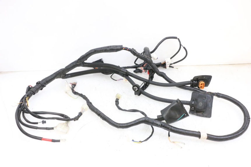 photo de WIRE HARNESS SEGWAY NINEBOT E125S 1 (2022 - 2026) - Main view