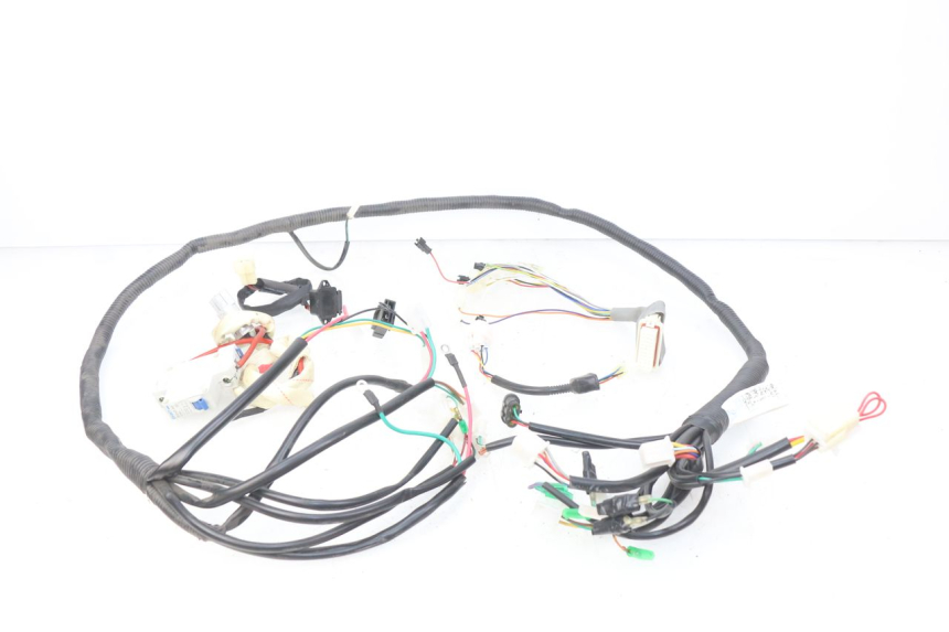 photo de WIRING HARNESS EFUN E2GO 1 (2017 - 2021) - Main view