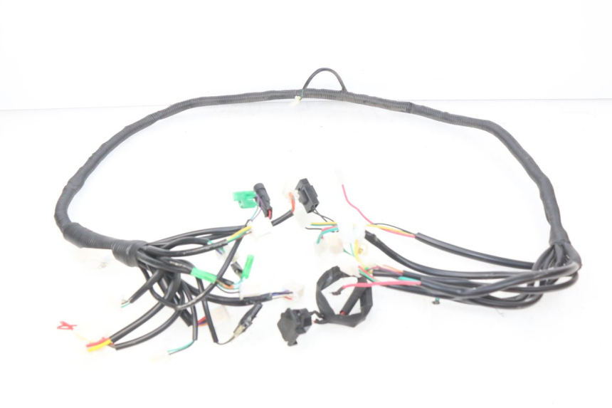 photo de WIRING HARNESS EFUN E2GO 1 (2017 - 2021) - Zoom on usage condition