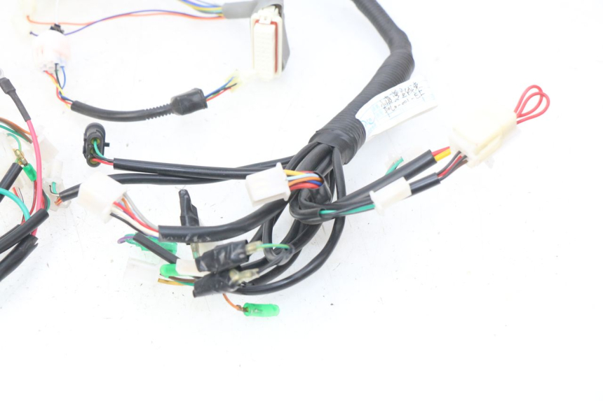 photo de WIRING HARNESS EFUN E2GO 1 (2017 - 2021) - Markings and original references