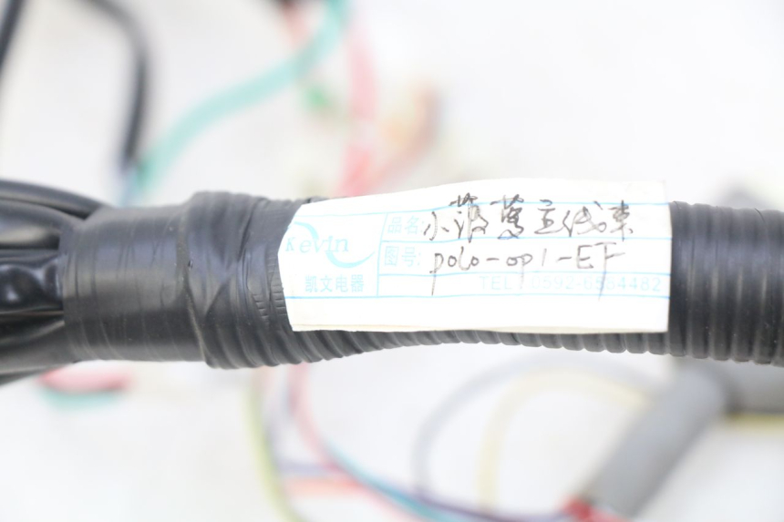 photo de WIRING HARNESS EFUN E2GO 1 (2017 - 2021) - Component detail