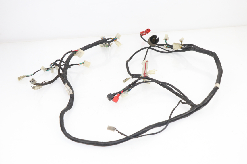 photo de WIRE HARNESS SACHS EAGLE 50 (2007 - 2010) - Technical close-up