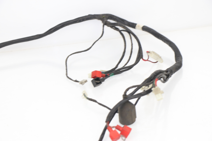 photo de WIRE HARNESS SACHS EAGLE 50 (2007 - 2010) - Product overview