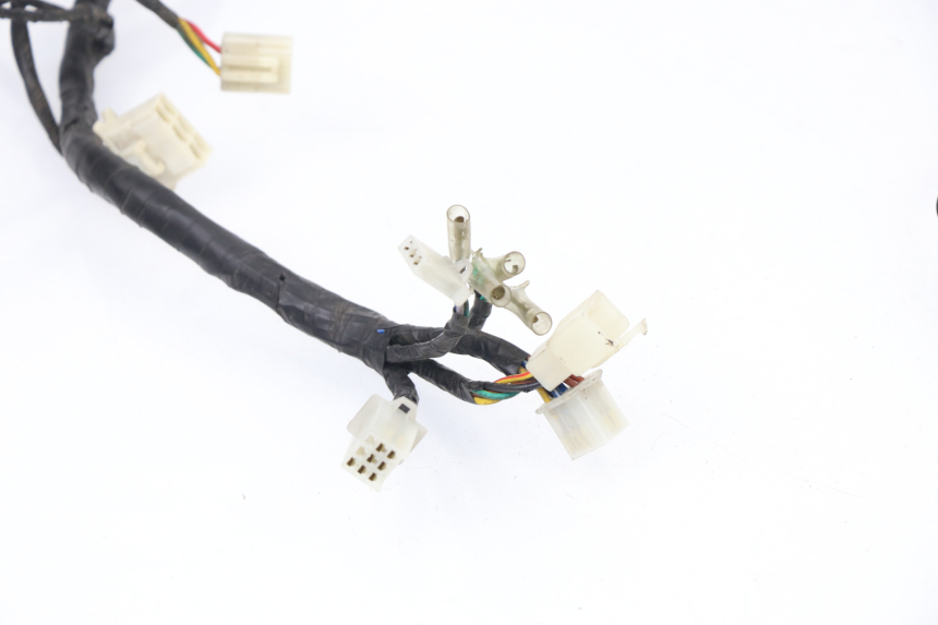 photo de WIRE HARNESS SACHS EAGLE 50 (2007 - 2010) - Fixing points details