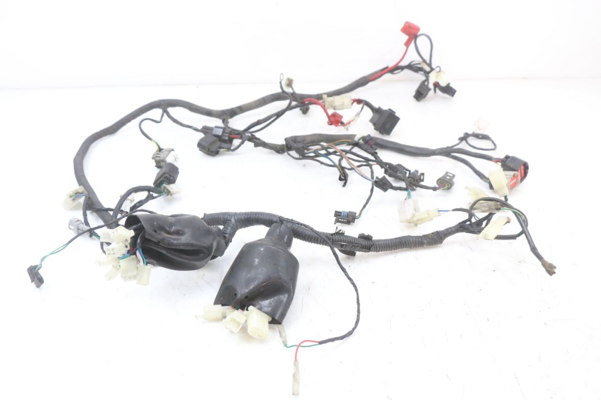 photo de WIRE HARNESS LONGJIA EASY MAX 125 (2020 - 2024) - Main view