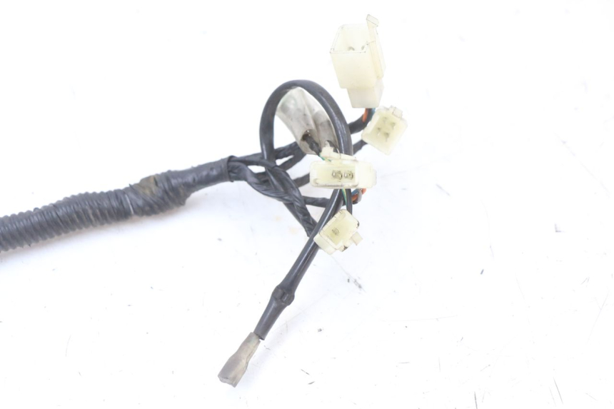 photo de WIRE HARNESS LONGJIA EASY MAX 125 (2020 - 2024) - Component detail