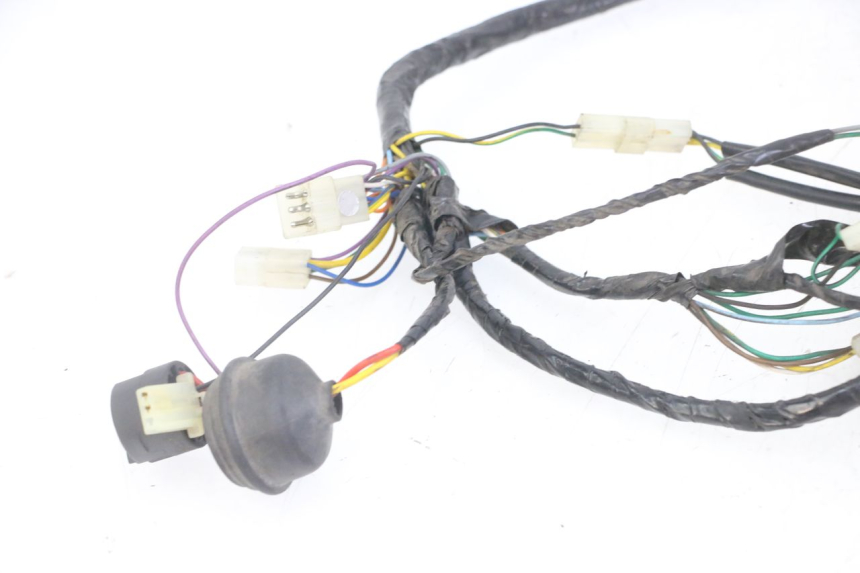 photo de WIRE HARNESS PEUGEOT ELYSEO 125 (1999 - 2004) - Distinctive features