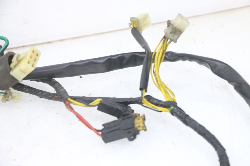 photo de WIRE HARNESS PEUGEOT ELYSEO 125 (1999 - 2004) - Focus on structure