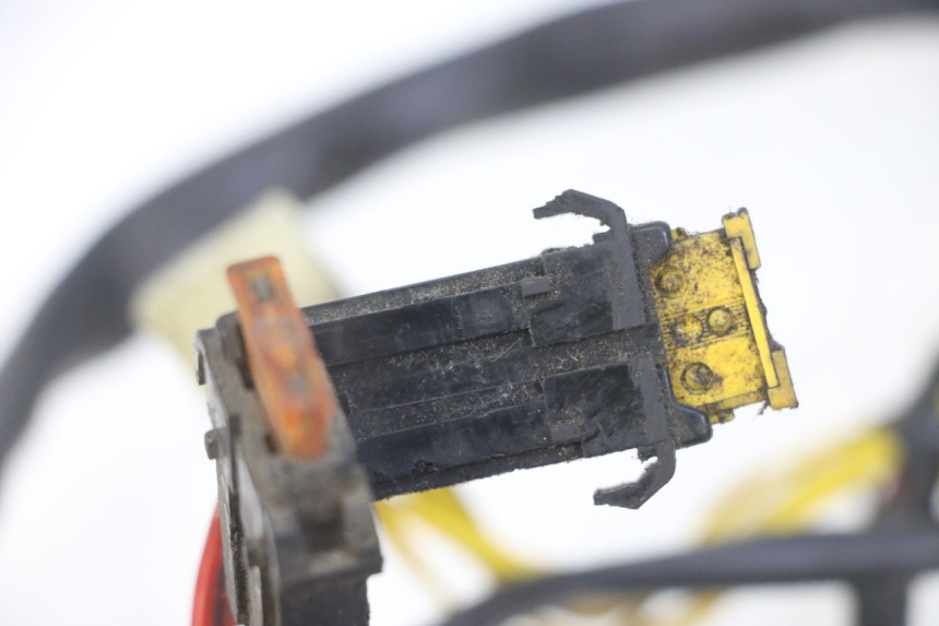 photo de WIRE HARNESS PEUGEOT ELYSEO 125 (1999 - 2004) - Alternative perspective