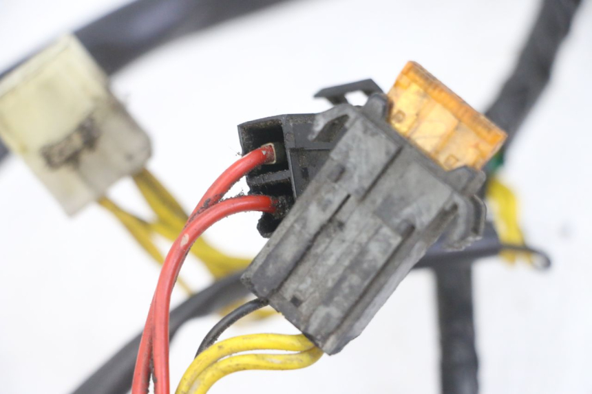 photo de WIRE HARNESS PEUGEOT ELYSEO 125 (1999 - 2004) - Technical close-up