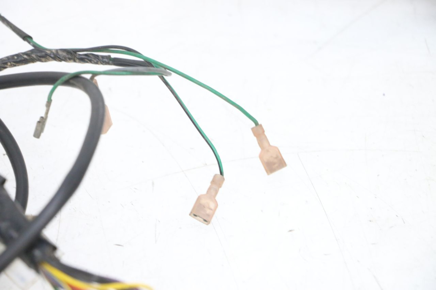 photo de WIRE HARNESS PEUGEOT ELYSEO 125 (1999 - 2004) - High-resolution close-up