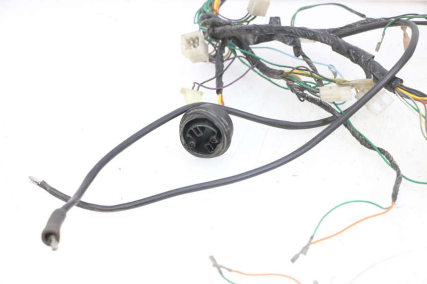 photo de WIRE HARNESS PEUGEOT ELYSEO 125 (1999 - 2004) - Detailed visual inspection