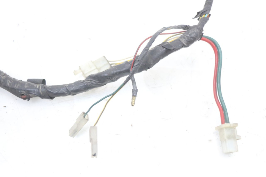 photo de WIRING HARNESS PEUGEOT ELYSTAR 50 (2002 - 2014) - Fixing points details