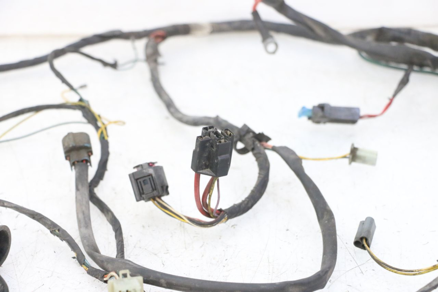 photo de WIRING HARNESS PEUGEOT ELYSTAR 50 (2002 - 2014) - Surface and material condition