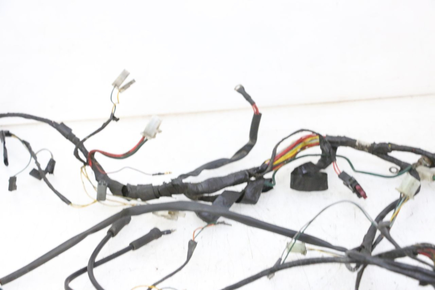 photo de WIRING HARNESS PEUGEOT ELYSTAR 50 (2002 - 2014) - Zoom on usage condition