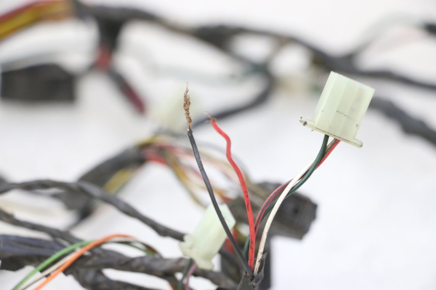 photo de WIRING HARNESS PEUGEOT ELYSTAR 50 (2002 - 2014) - Fixing points details