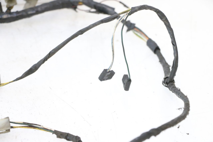 photo de WIRING HARNESS PEUGEOT ELYSTAR 50 (2002 - 2014) - Distinctive features
