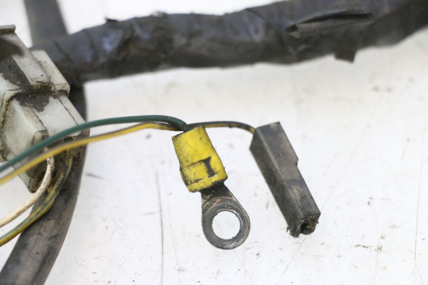photo de WIRING HARNESS PEUGEOT ELYSTAR 50 (2002 - 2014) - Surface and material condition
