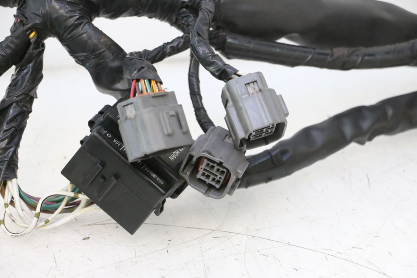 photo de WIRE HARNESS KAWASAKI ER-6 ER6 N 650 (2005 - 2009) - Distinctive features