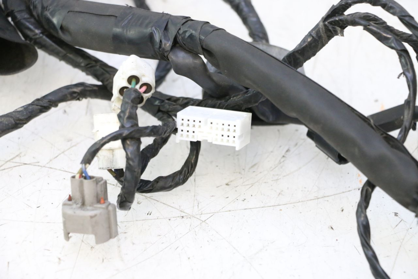 photo de WIRE HARNESS KAWASAKI ER-6 ER6 N 650 (2005 - 2009) - Focus on structure