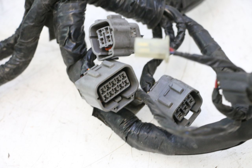 photo de WIRE HARNESS KAWASAKI ER-6 ER6 N 650 (2005 - 2009) - Markings and original references