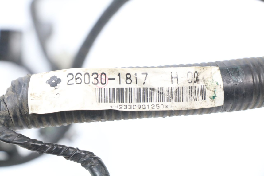 photo de WIRE HARNESS KAWASAKI ER5 ER-5 500 (2001 - 2004) - Component detail