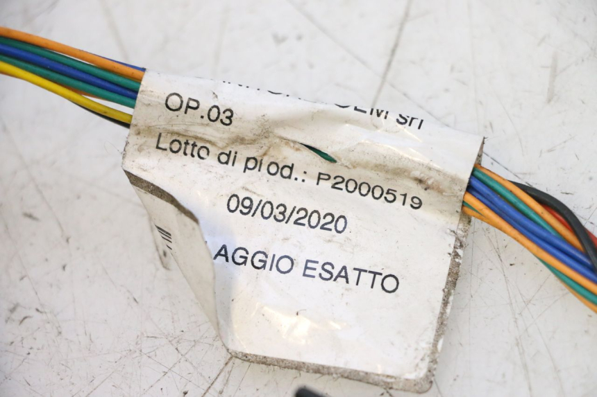 photo de WIRE HARNESS ASKOLL ESPRO 1 - Component detail