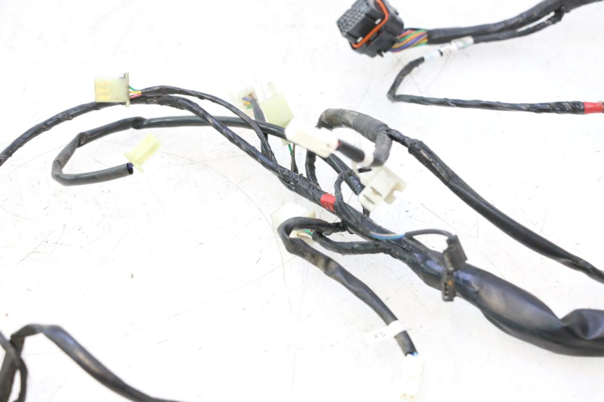 photo de WIRE HARNESS ASKOLL ESPRO 1 - Component zoom