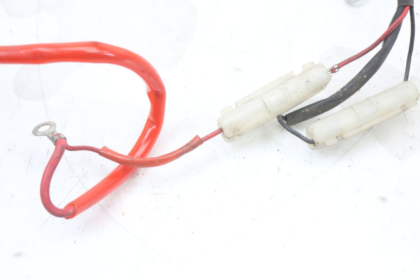 photo de WIRE HARNESS EUROCKA RETRO 50 (2007 - 2014) - Product overview