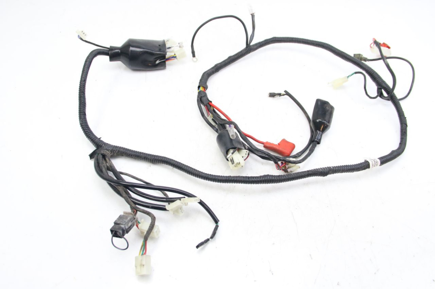 photo de WIRING HARNESS JM MOTORS EVOLIS 4T 50 (2018 - 2022) - Main view
