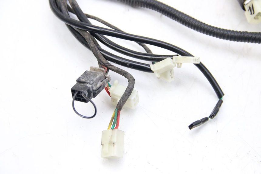 photo de WIRING HARNESS JM MOTORS EVOLIS 4T 50 (2018 - 2022) - Component detail