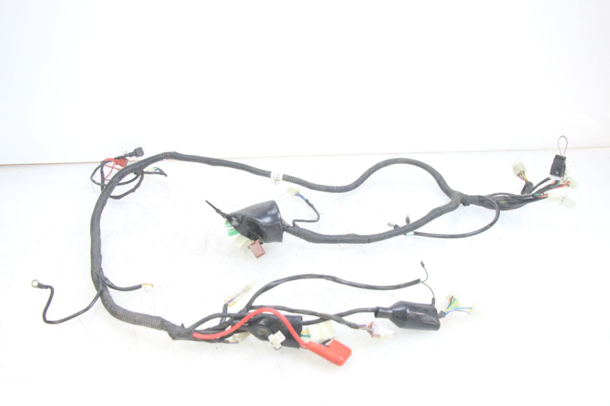 photo de WIRING HARNESS JM MOTORS EVOLIS 4T 50 (2018 - 2022) - Main view
