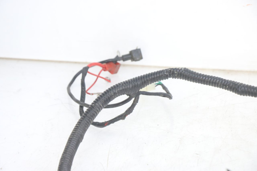 photo de WIRING HARNESS JM MOTORS EVOLIS 4T 50 (2018 - 2022) - Surface and material condition