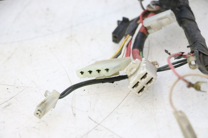 photo de WIRE HARNESS MBK EVOLIS 80 (1993 - 1999) - Alternative perspective