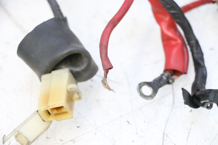 photo de WIRE HARNESS KEEWAY F-ACT FACT EVO 50 (2020 - 2026) - Fixing points details
