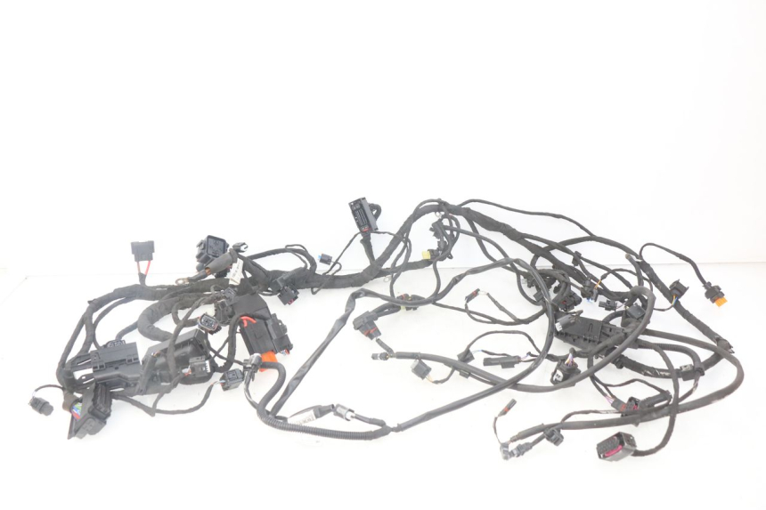 photo de WIRE HARNESS BMW F GS K81 850 (2018 - 2023) - Main view
