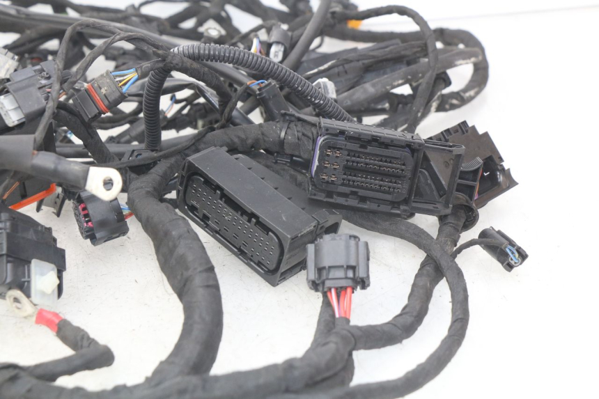 photo de WIRE HARNESS BMW F GS K81 850 (2018 - 2023) - Technical close-up