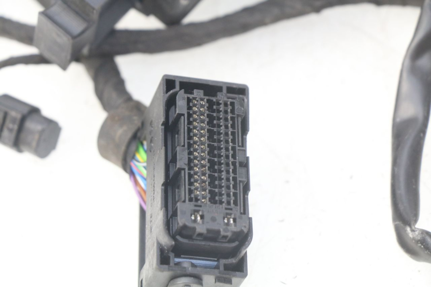 photo de WIRE HARNESS BMW F GS K81 850 (2018 - 2023) - Product overview