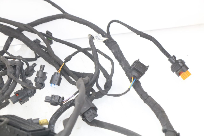 photo de WIRE HARNESS BMW F GS K81 850 (2018 - 2023) - Fixing points details