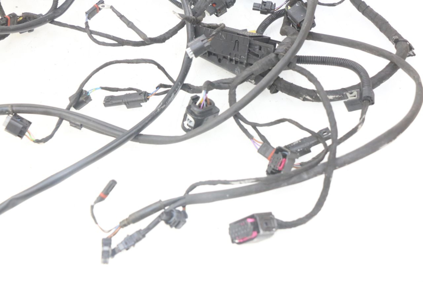 photo de WIRE HARNESS BMW F GS K81 850 (2018 - 2023) - Markings and original references